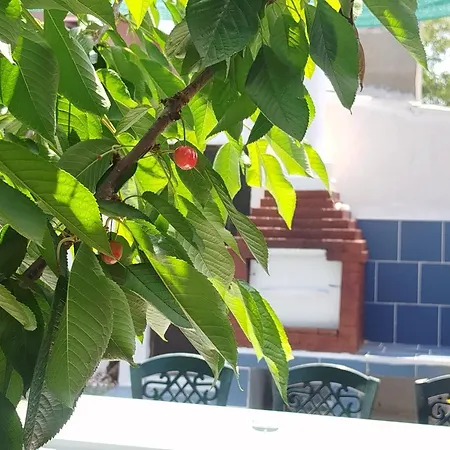 Appartement Bogdan, La