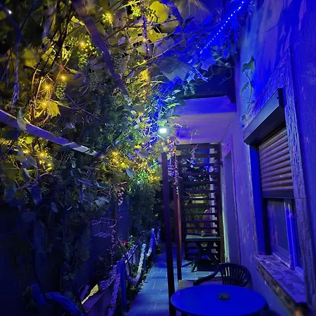 Bogdan, La Appartement
